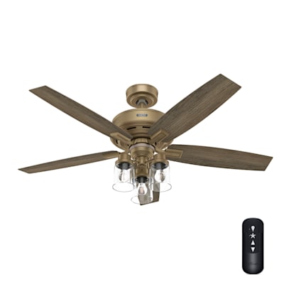 Hunter fan alexa hot sale